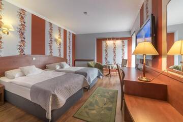Фото номера Просторный двухместный номер с 2 отдельными кроватями Отель Hotel Doris г. Оборники 15
