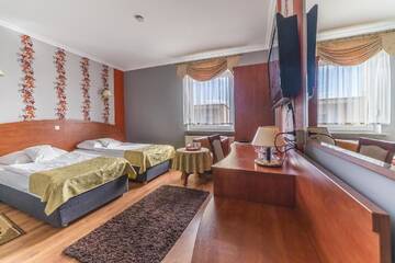 Фото номера Двухместный номер с 1 кроватью Отель Hotel Doris г. Оборники 7
