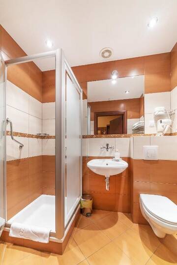Фото номера Двухместный номер с 1 кроватью Отель Hotel Doris г. Оборники 2